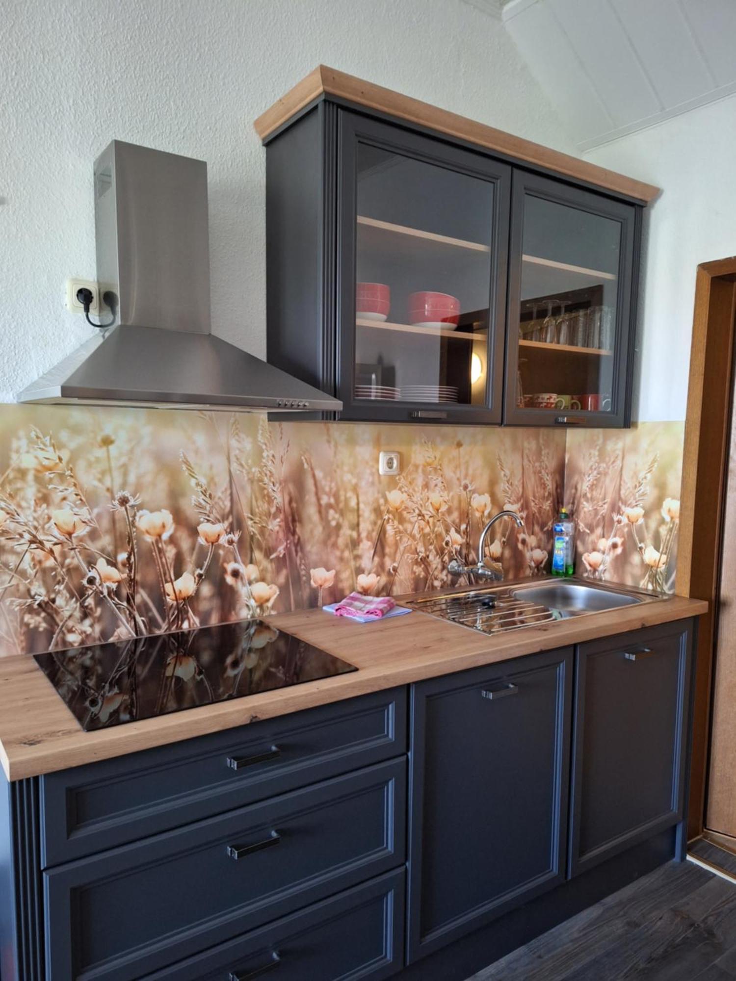 Gaststaette Und Pension Zur Schiene مرسيبورغ المظهر الخارجي الصورة